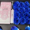 Box Roses Bleues, Parfum Luxuria et Lip Glow Rose Claire